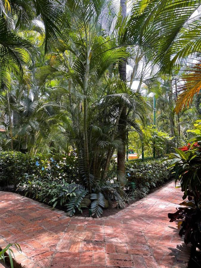 The Best Of Marbella Puerto Vallarta Dış mekan fotoğraf